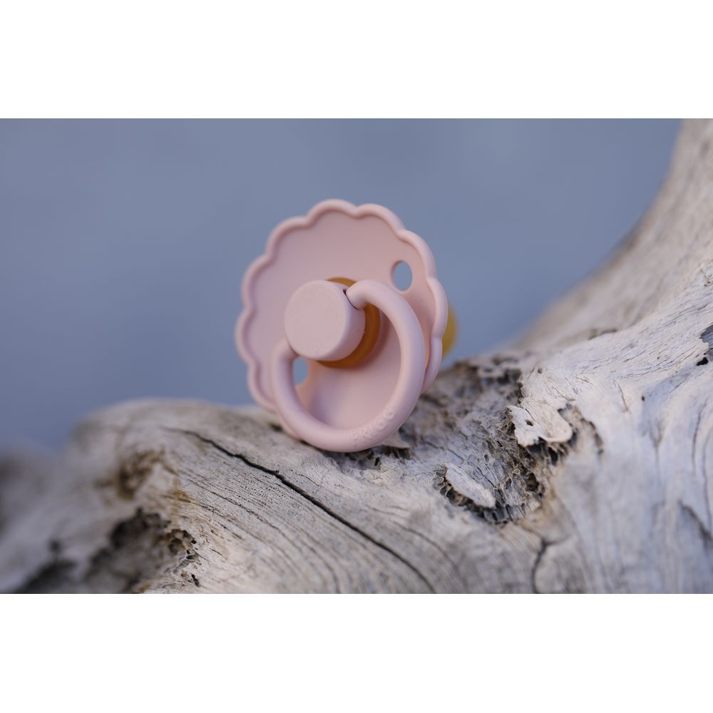 Frigg - Daisy Silicone Pacifier 0-6M S1 Pack of 2 - Blush/Woodchuck