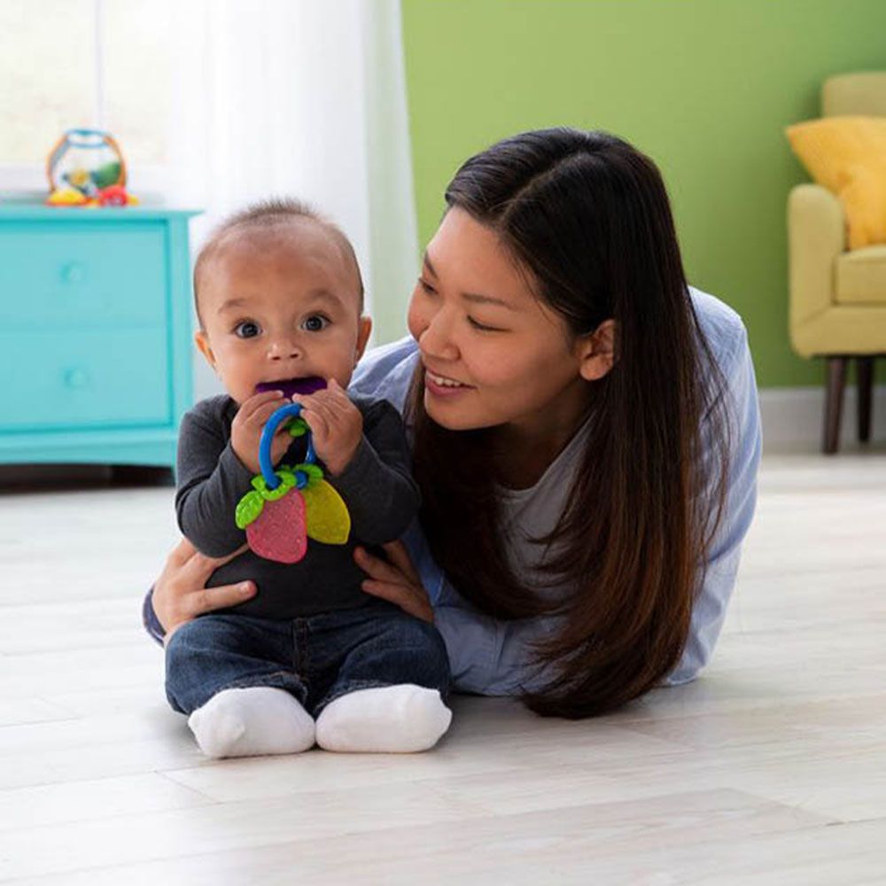 The First Years - Fruity Teether - Assorted