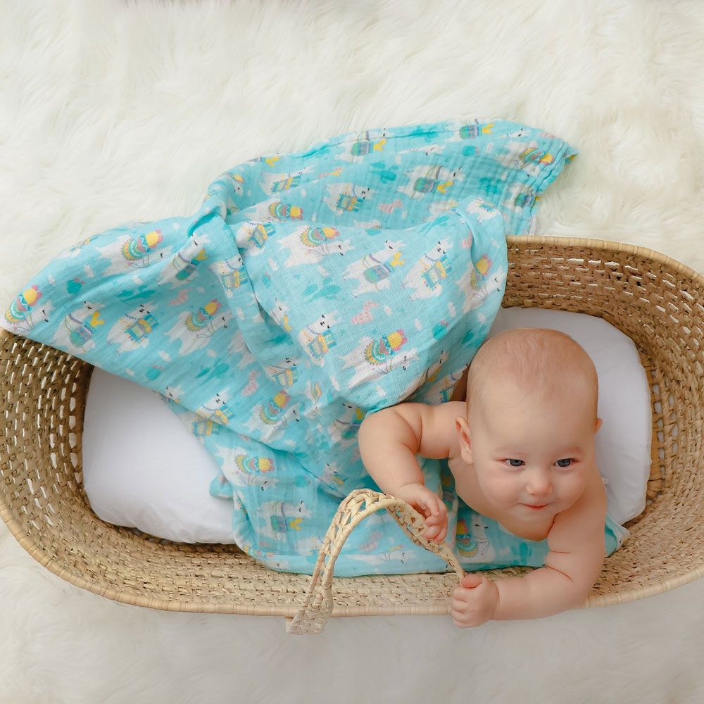 Little West Street - Llama Love Organic Swaddle Set