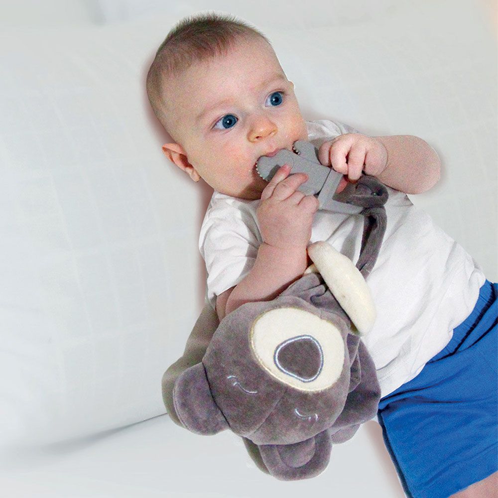 Babyjem - Sleep Teddy Bear Teether - Grey