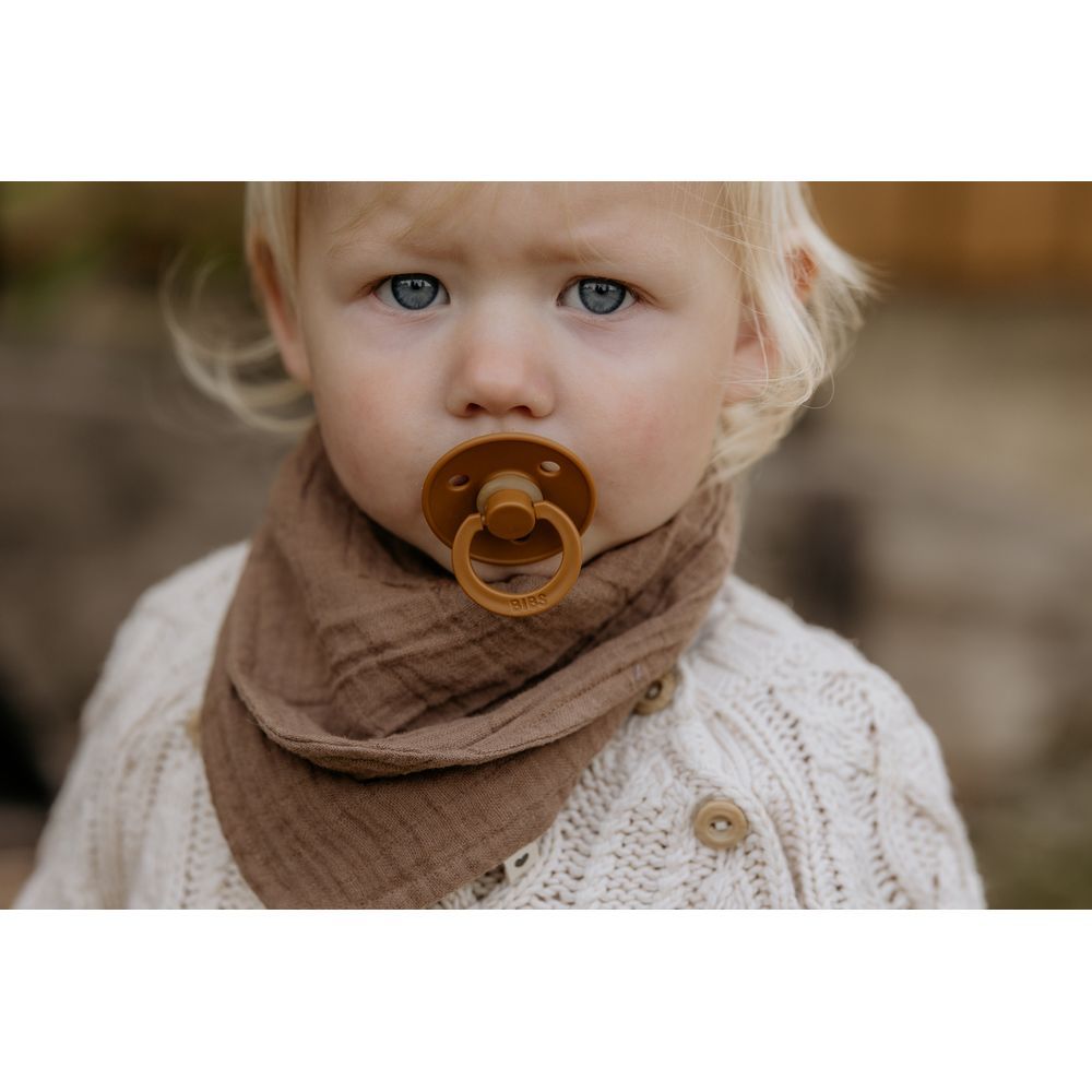 Bibs - Colour S1 Pacifiers - Pack of 2 - Mustard/Mocha