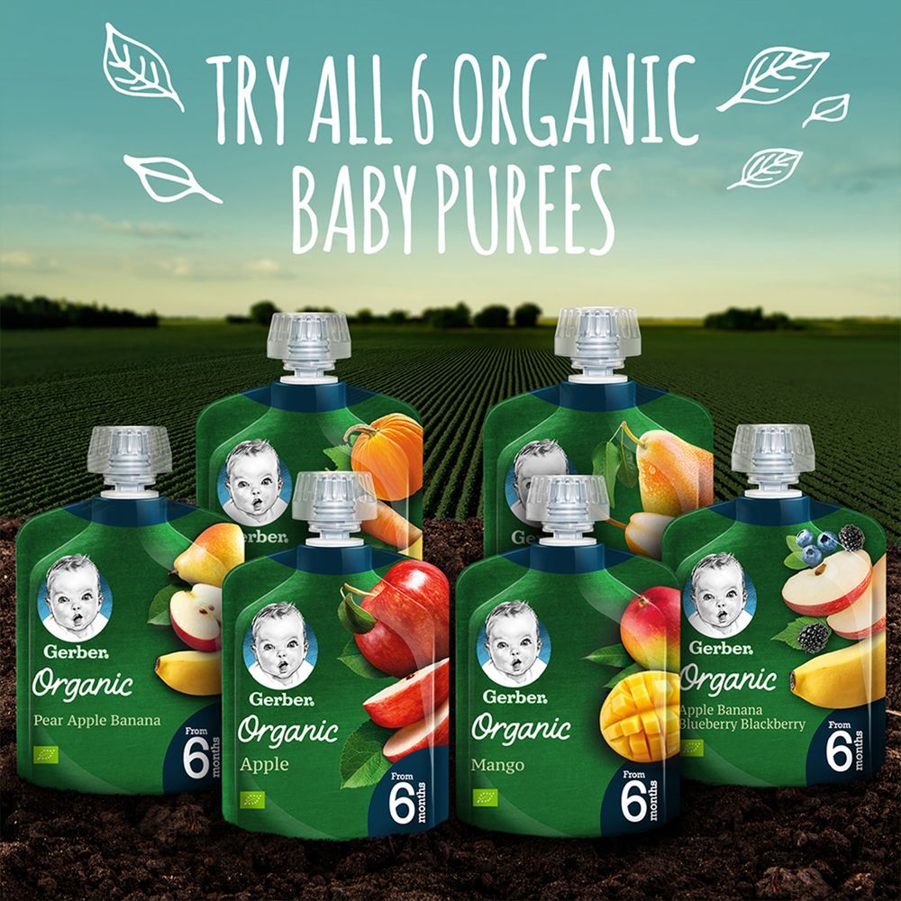 Gerber - Organic Apple, Banana, Blueberry & Blackberry 90g