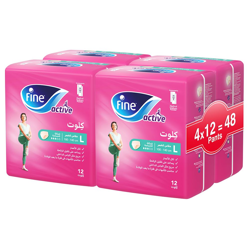 Fine - Female Adult Diaper Pants Pack Of 4 48Pcs Size L 100-140Cm