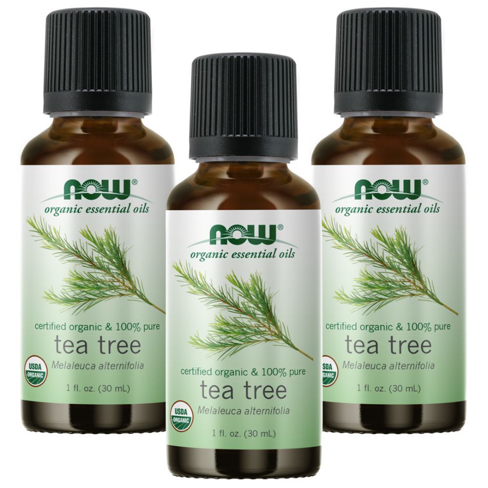 Now Organic Essential Oils Organic Tea Tree Oil 1 oz 3pcs