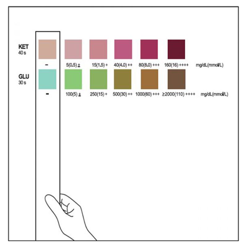 تريستر شرائح قياس الأجسام الكيتونية والسكر عدد 50