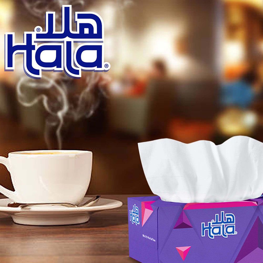 Hala - Facial Tissue - 170 Sheets