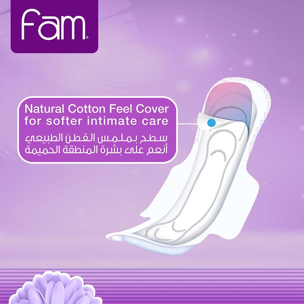 Fam Maxi Thick Folded w/ Wings Night Sanitary Pads 24 Pads