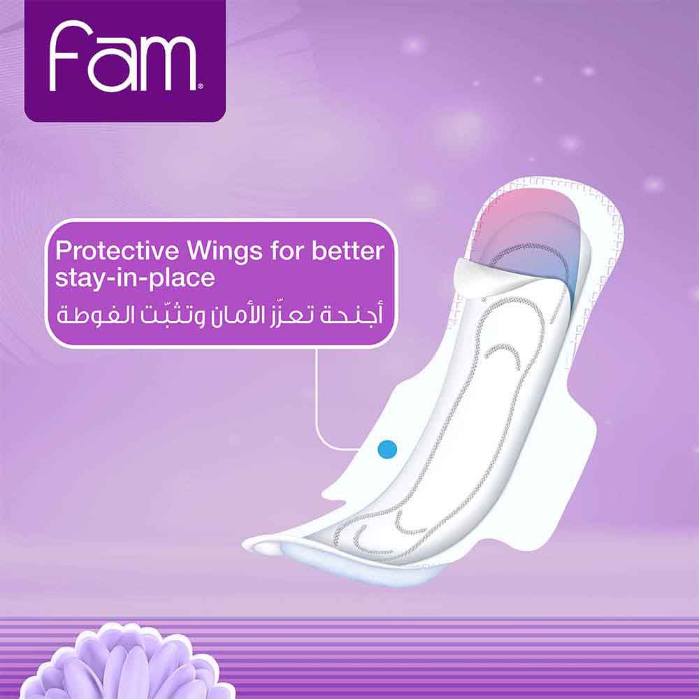 Fam - Sanitary Pads Maxi Folded With Wings Night - 48 Pads