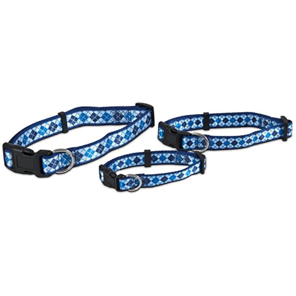 Petmate - Aspen Pet Ribbon Overlay Dog Collar 1"X16-26" - Harlequin Blue