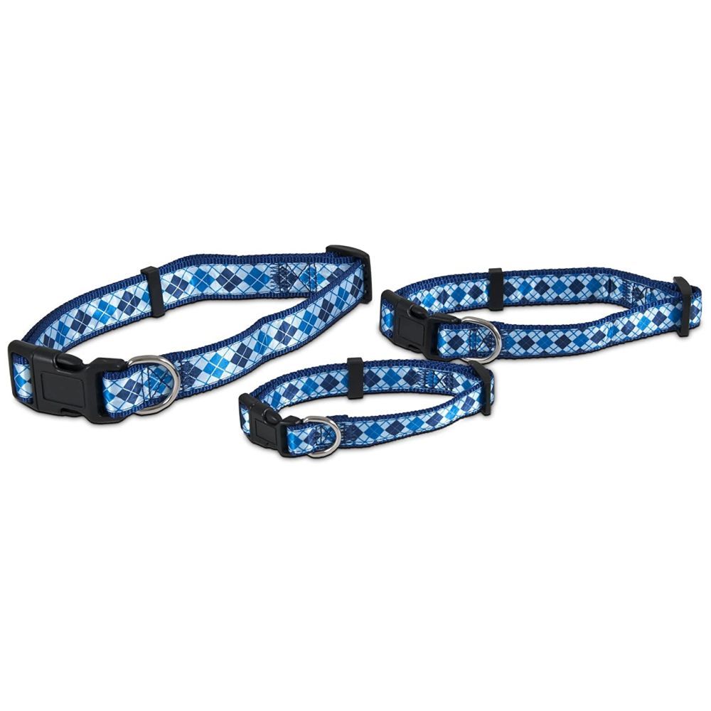 طوق الكلب من Petmate - Aspen Pet Ribbon Overlay مقاس 3/4"X14-20" - Harlequin Blue