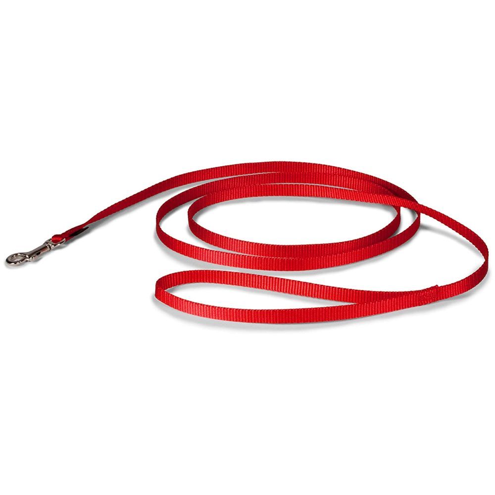 Petmate - Nylon Dog Leash 3/8"X6' - Red