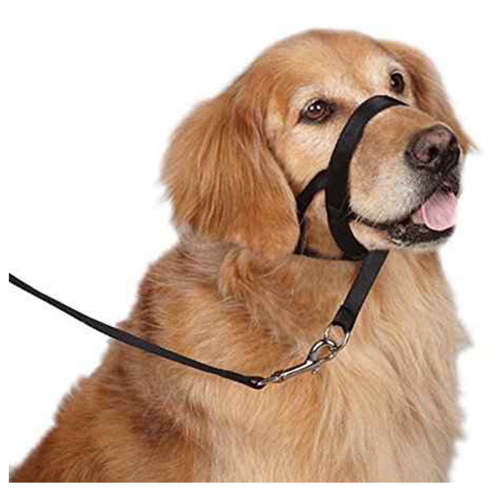 Company of Animals - Dog Head Collar Size 2 - Black