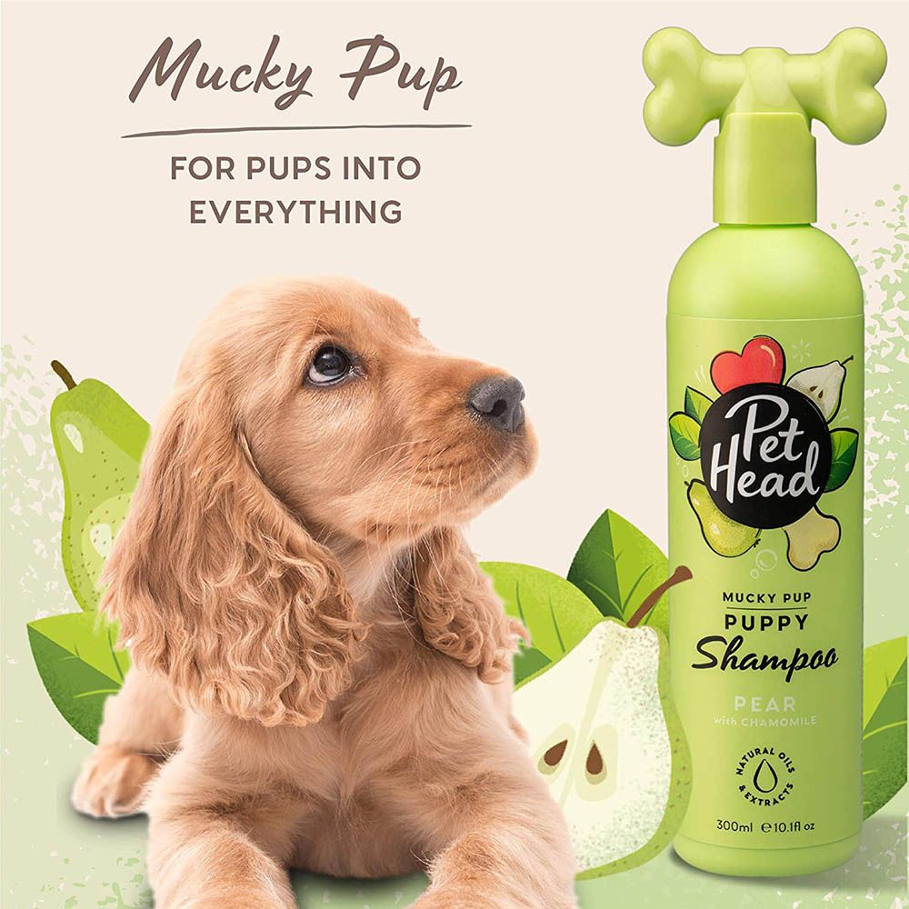 Pet Head - Mucky Puppy Shampoo - 300Ml