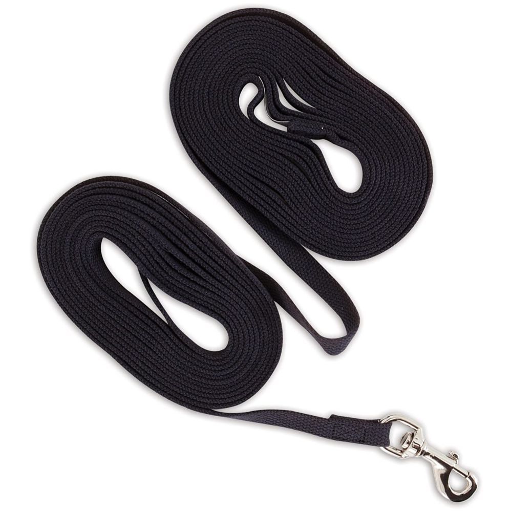 Petmate - Aspen Pet Cotton Training Dog Lead - 5/8" X 15' - أسود