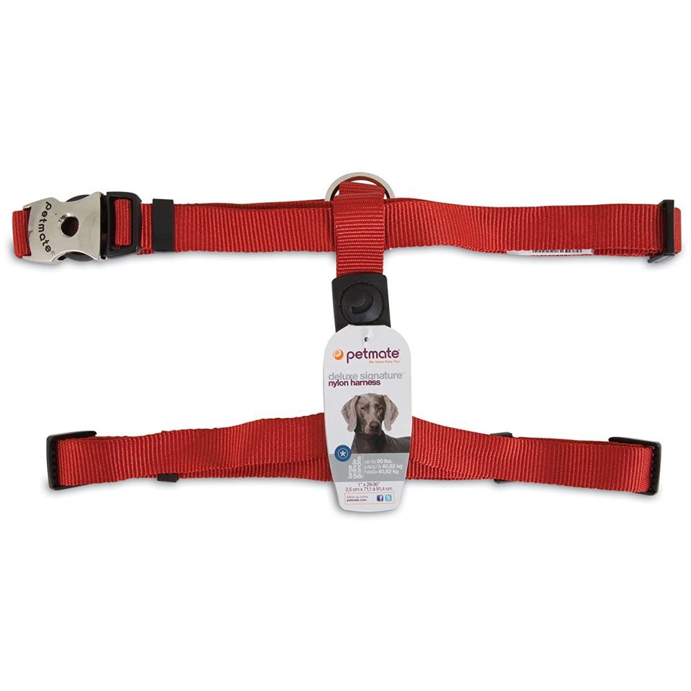 Petmate - Nylon Dog Harness 1"X28-36" - Red