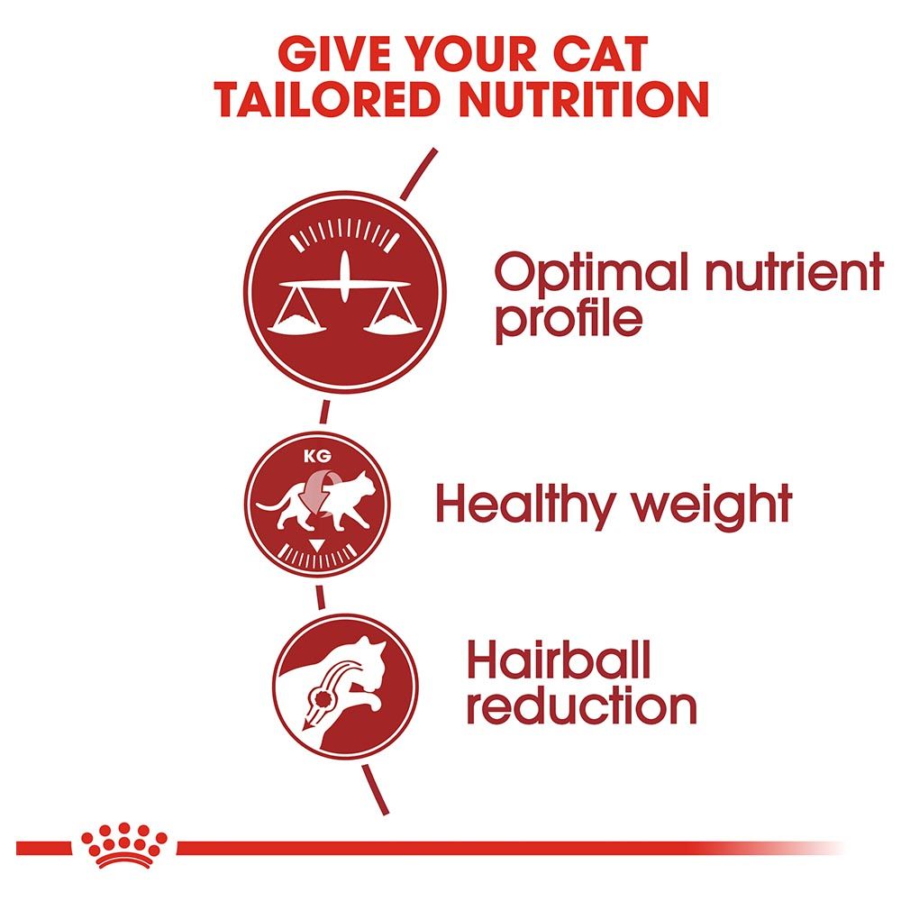 Royal Canin - Feline Health Nutrition Fit 32 - 10kg