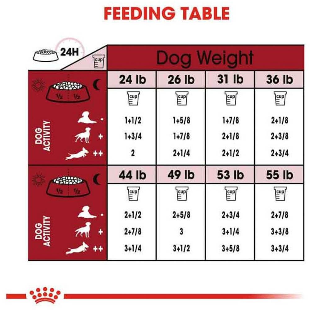 Royal Canin Size Health Nutrition Medium Adult Dog Food 4kg