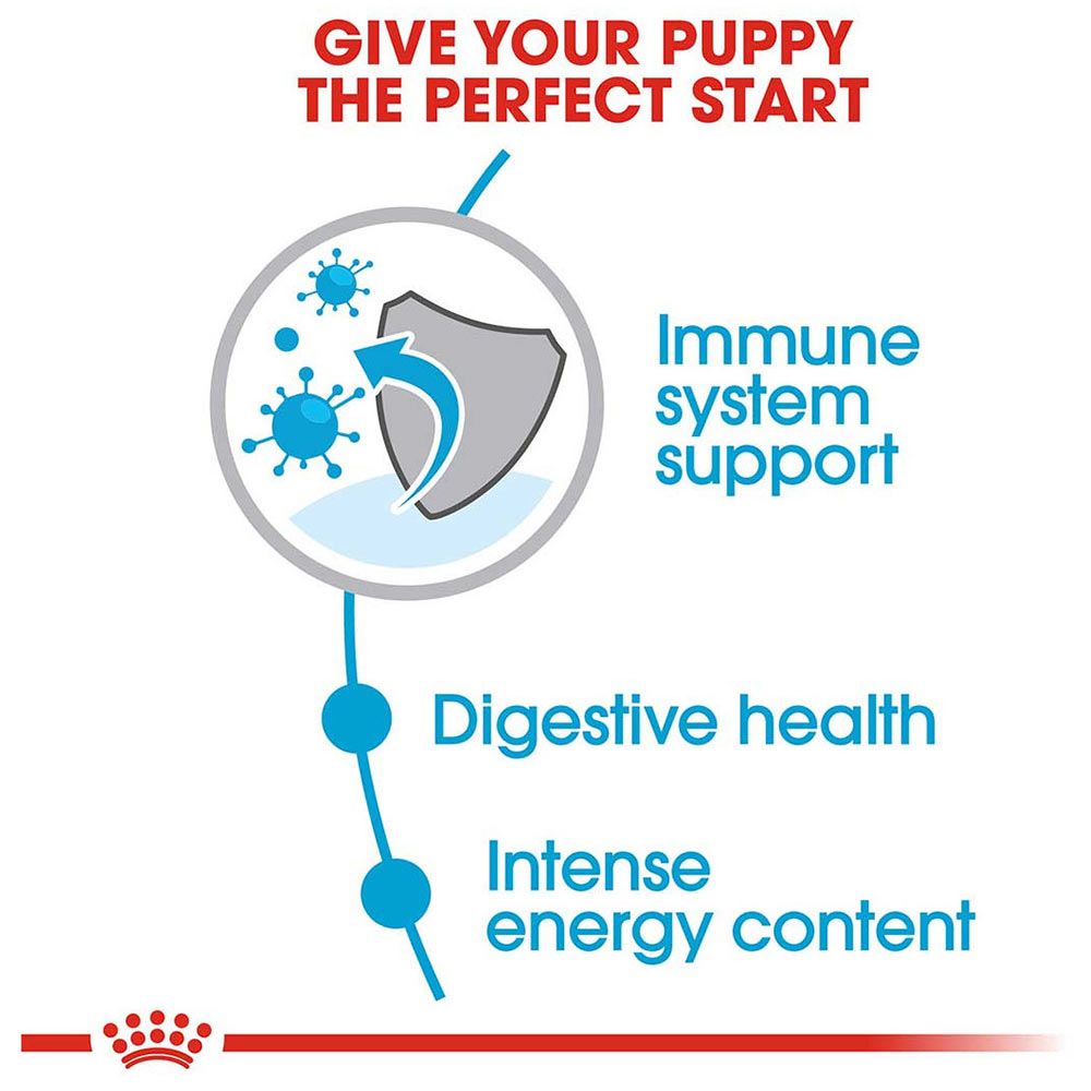 Royal Canin - Size Health Nutrition Mini Puppy 800g