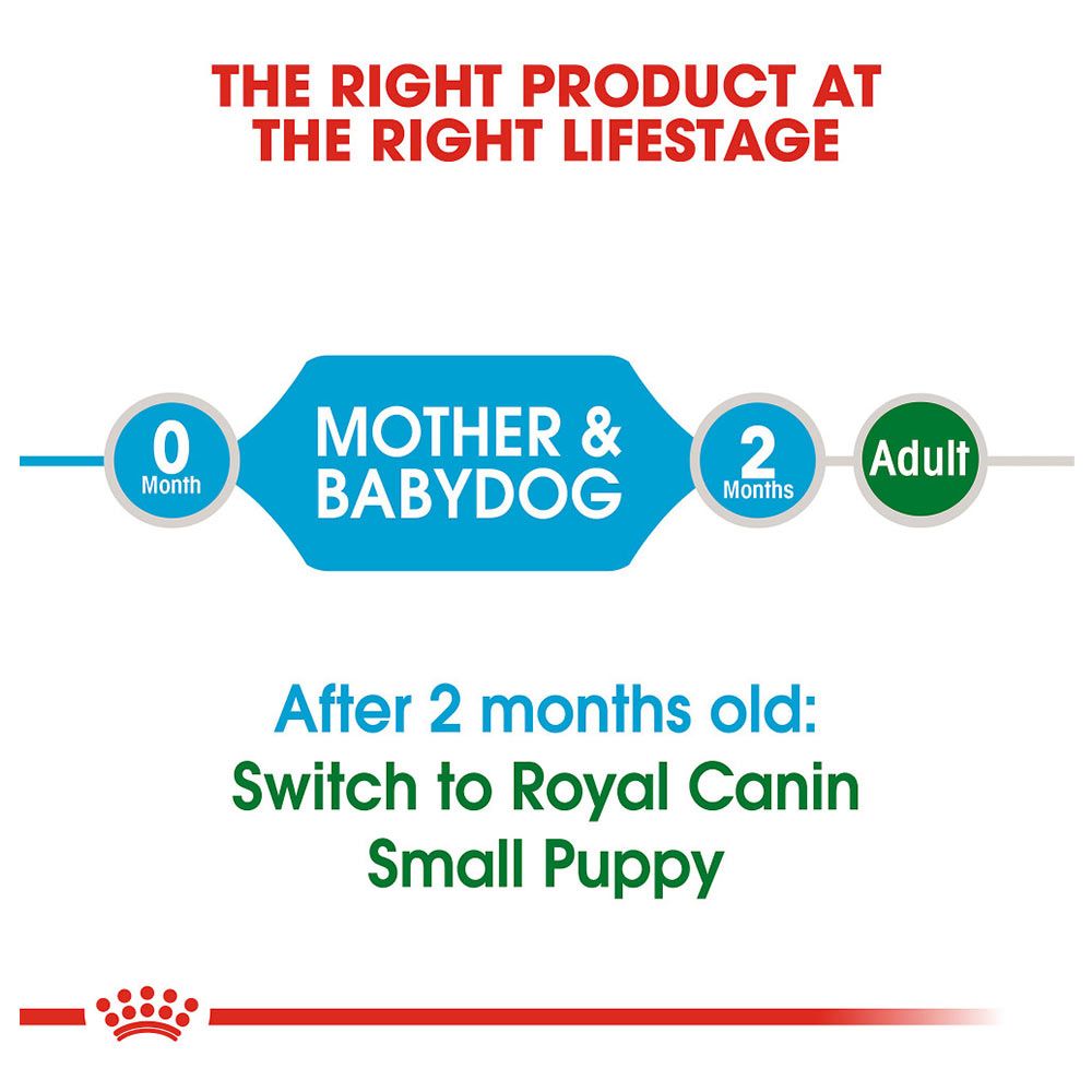 Royal Canin - Mini Starter Mother & Babydog Dry Dog Food 1kg