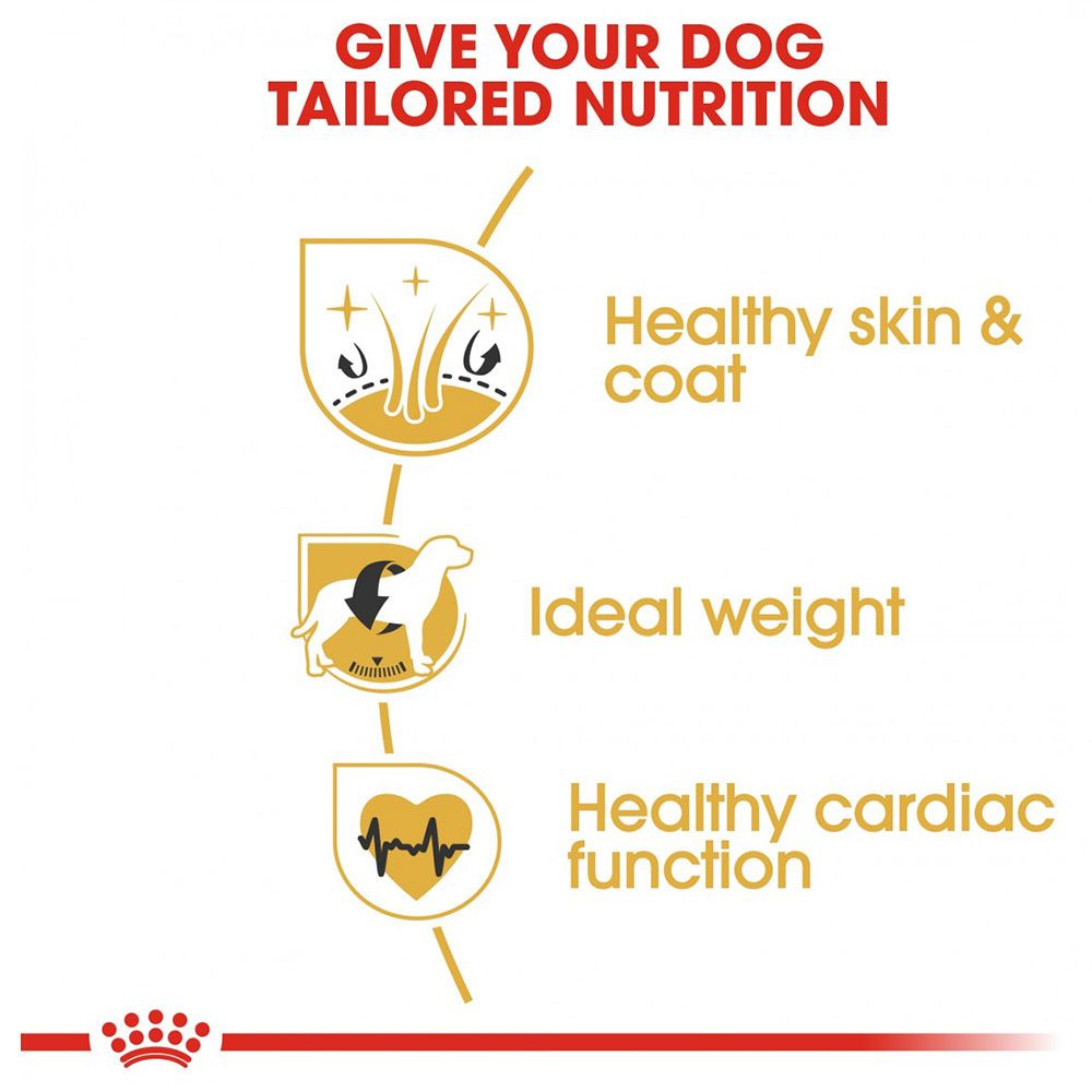 Royal Canin - Breed Health Nutrition Cocker Adult 3kg