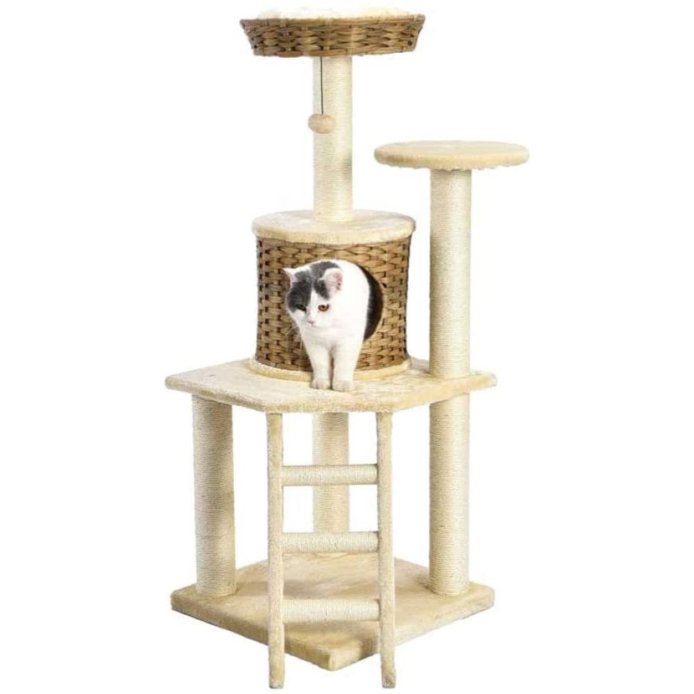 Nutra Pet - The Brawn Cat Scratchers