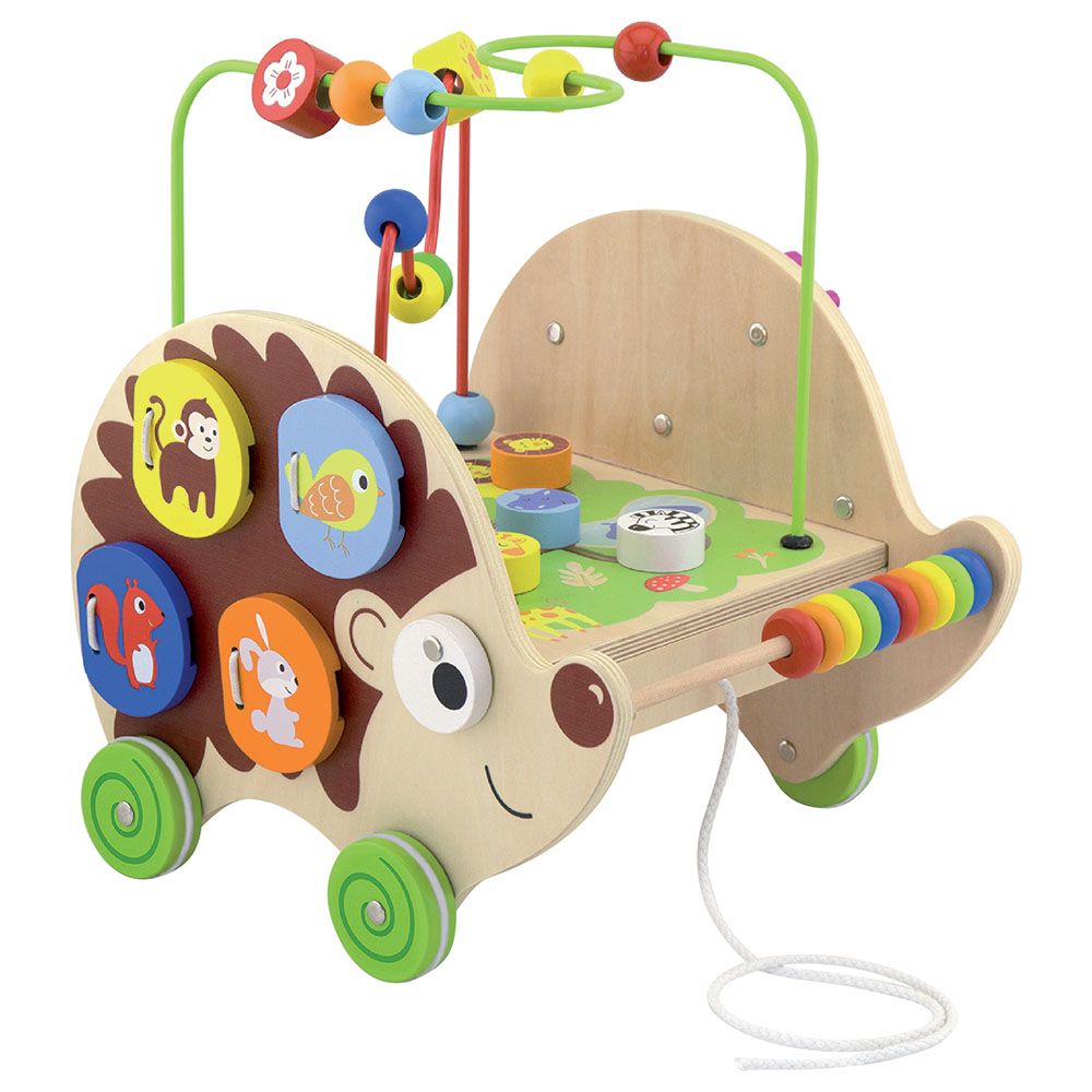 Viga - 5-in-1 Pull Along Activity Hedgehog