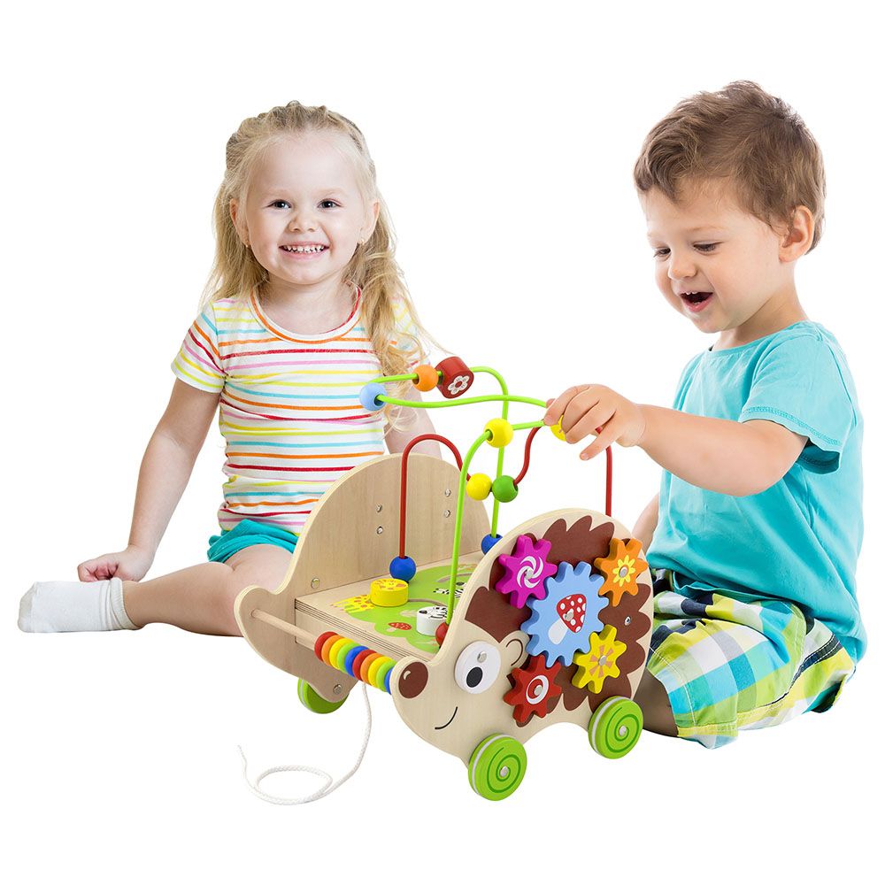 Viga - 5-in-1 Pull Along Activity Hedgehog