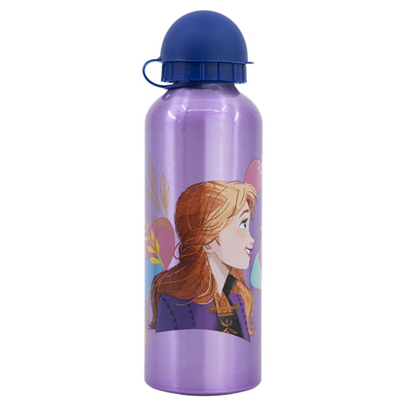 Stor - Frozen Trust Bottle - 530ml - Purple