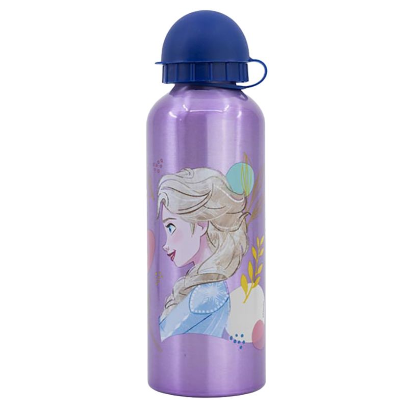 Stor - Frozen Trust Bottle - 530ml - Purple