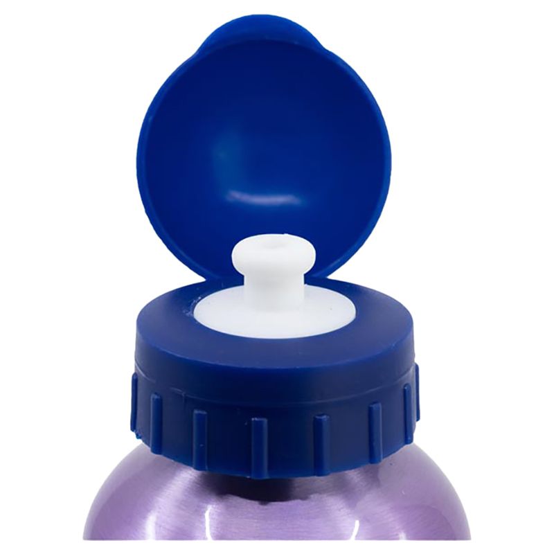 Stor - Frozen Trust Bottle - 530ml - Purple