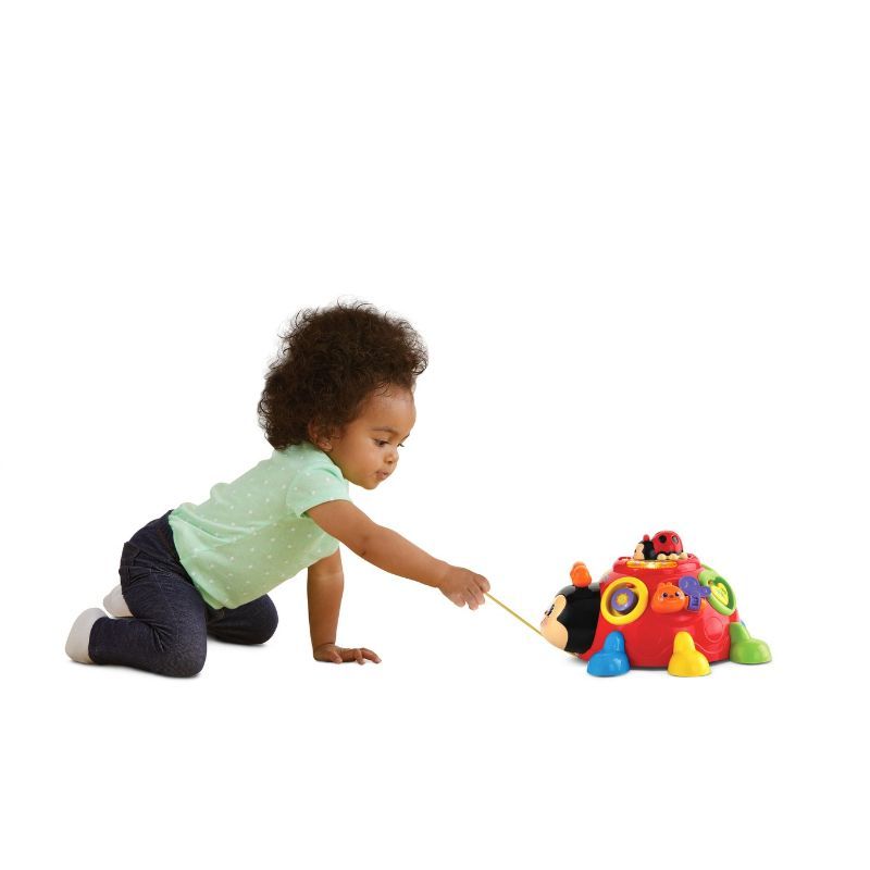 Vtech - Crazy Legs Learning Bug Pull Along Toy