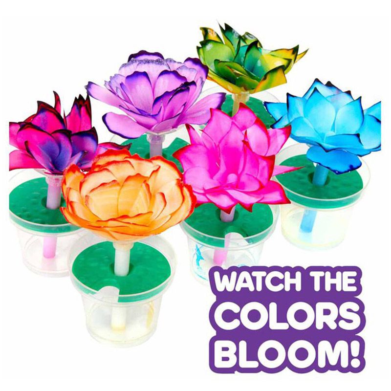 Crayola - Paper Flower Science Kit