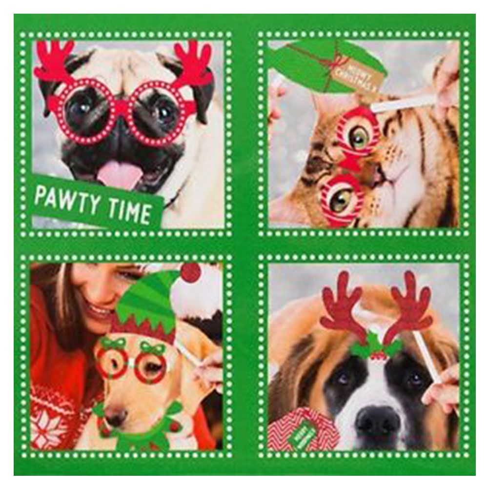 Talking Tables - Christmas Festive Pet Photo Kit