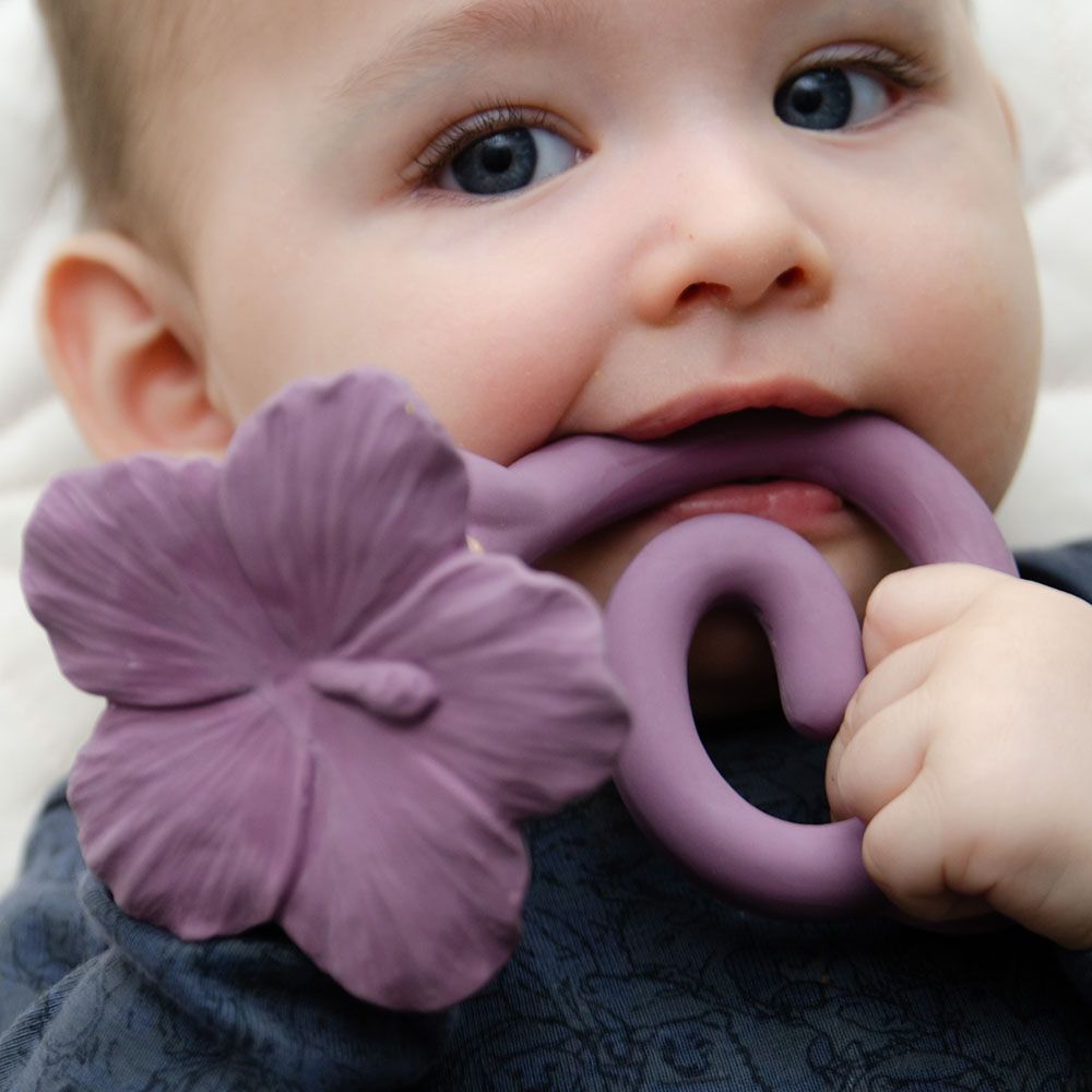 Natruba - Teether Hawaii Flower - Purple