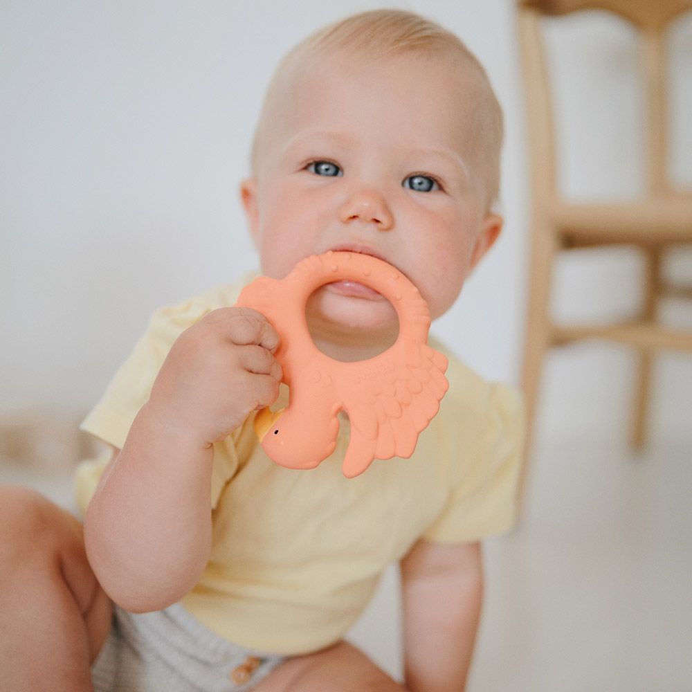 Natruba - Teether Parrot - Orange