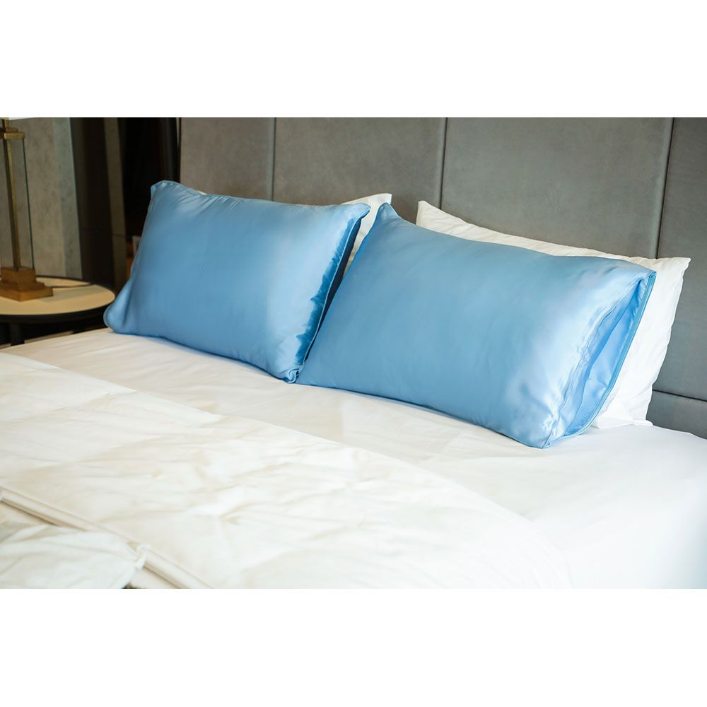 Regal Fabrics - King Mulberry Silk Pillowcases - Sky Blue