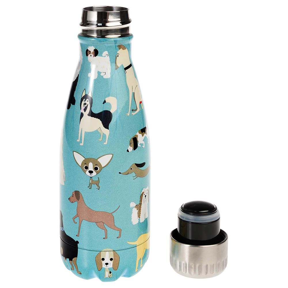 Rex London - Stainless Steel Bottle - Best In Show - 260ml