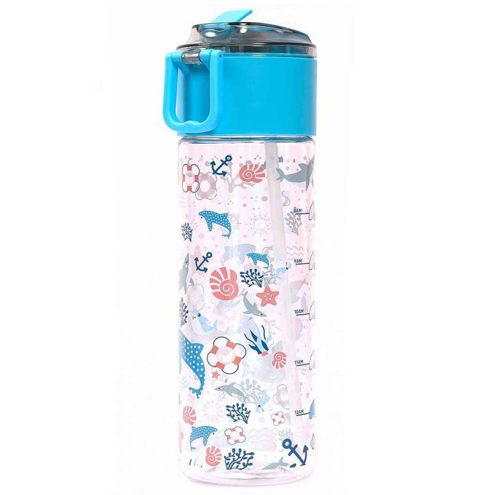 Eazy Kids - Shark Lunch Box & Tritan Water Bottle 450ml - Blue