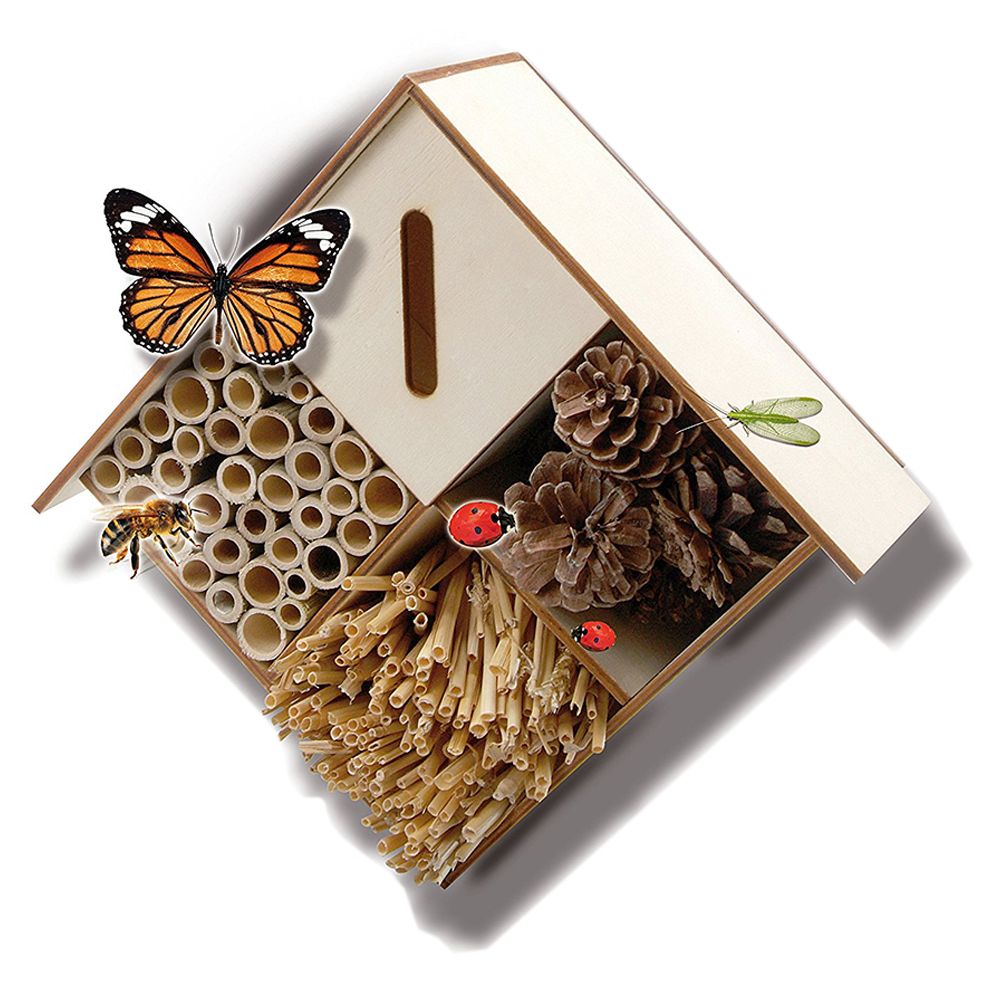 SES Creative - Explore Insect Hotel