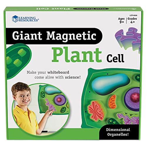 Learning Resources - Giant Magnetic Plant Cell