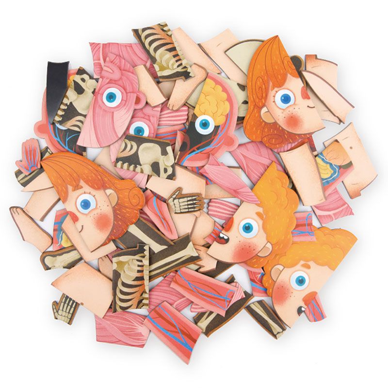 Mideer - Body Magnetic Puzzle - 90pcs