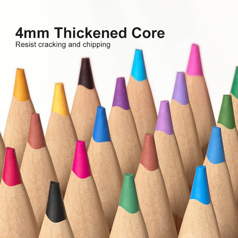 Mideer - Mideer Vibrant Coloring Pencils - 24