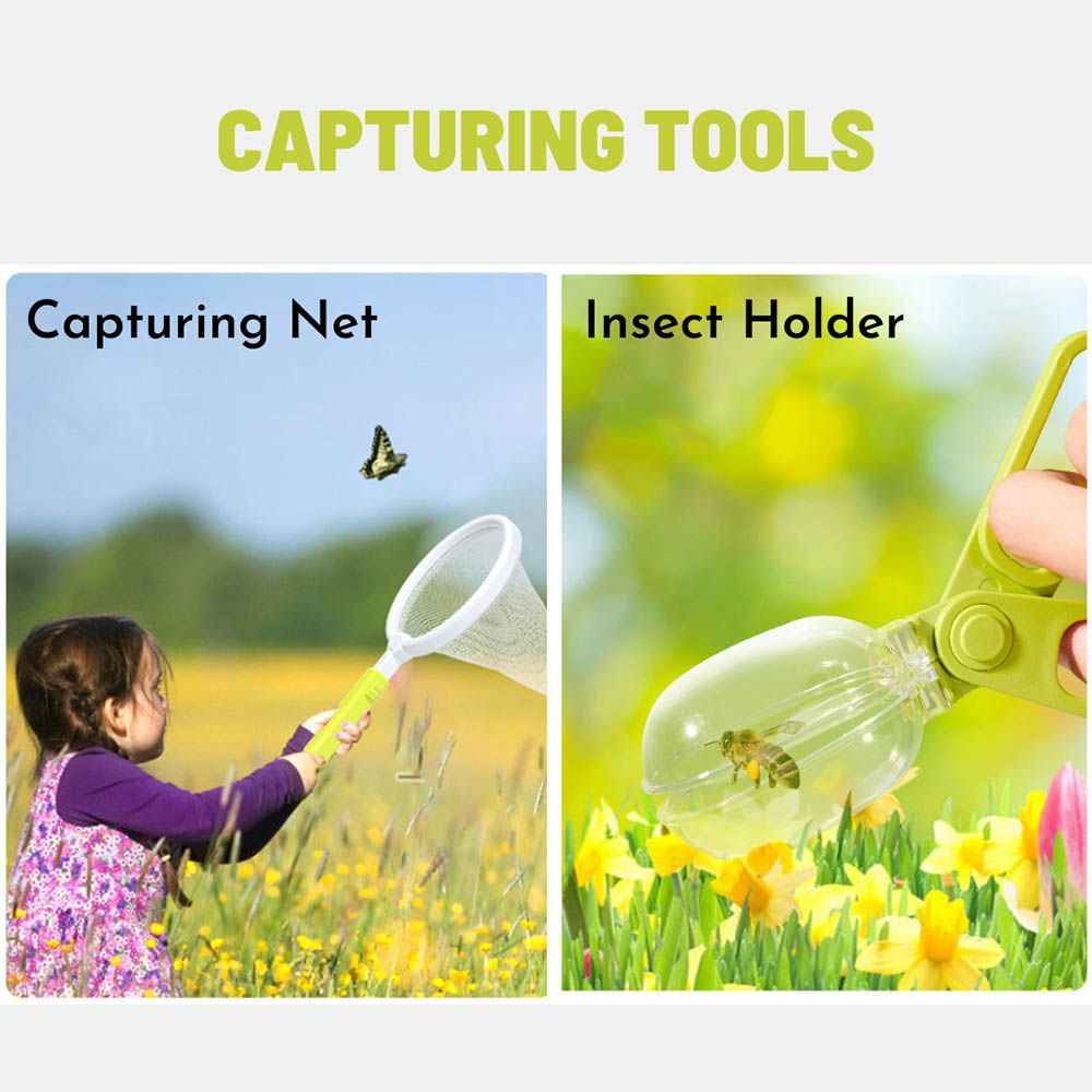 Mideer - Insect Observation Kit