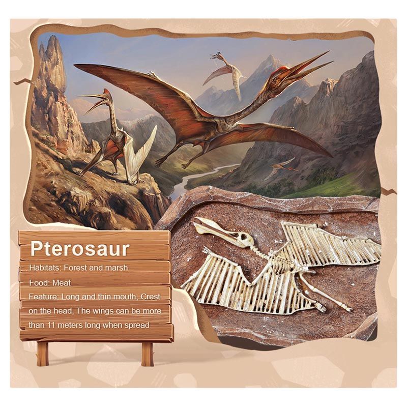 Mideer - Revive A Pterosaur - Dig A Dinosaur Kit