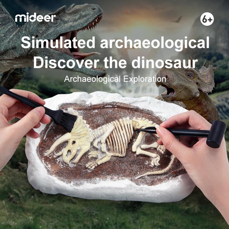 Mideer - Revive A Pterosaur - Dig A Dinosaur Kit