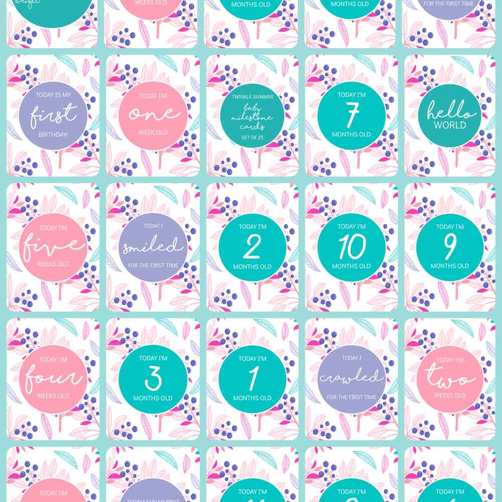 Twinkle And Giraffe - Summer Baby Milestone Cards 25C