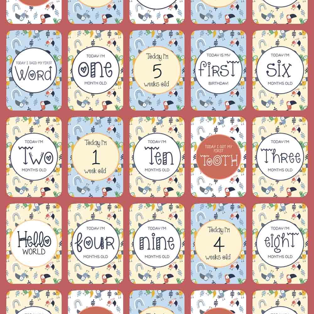 Twinkle And Giraffe - Twinkle Toucan Milestone Cards 25C