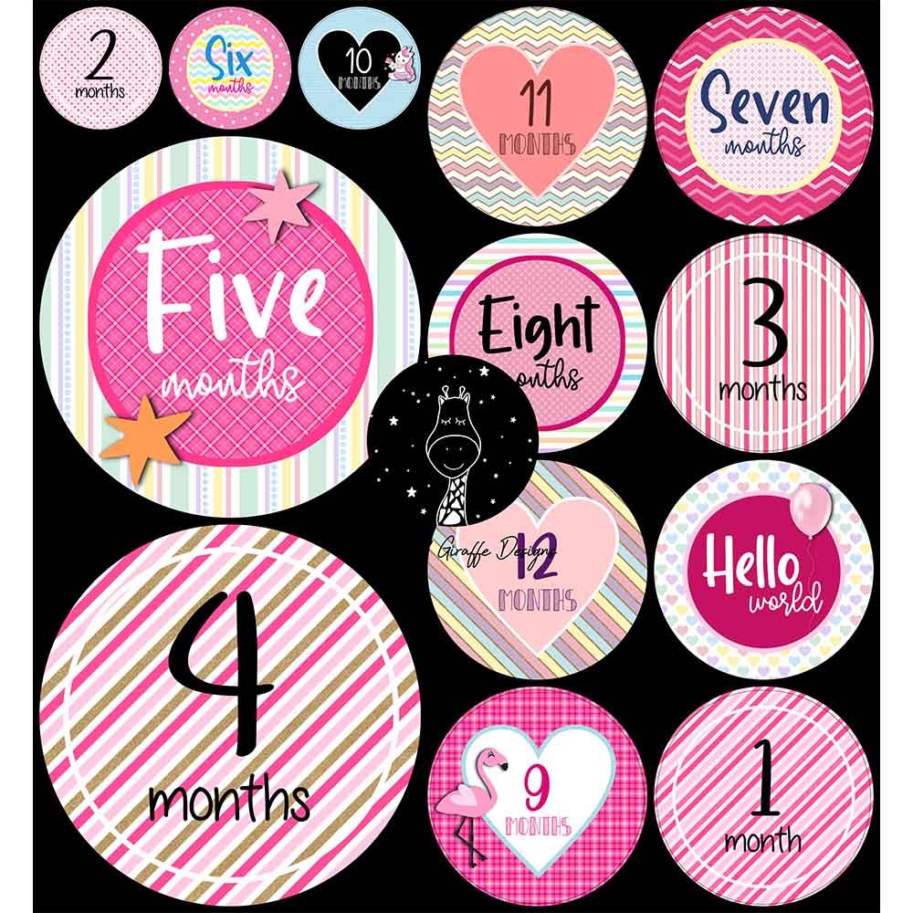 Twinkle and Giraffe Designs - Pretty Pink Milestone Stickers