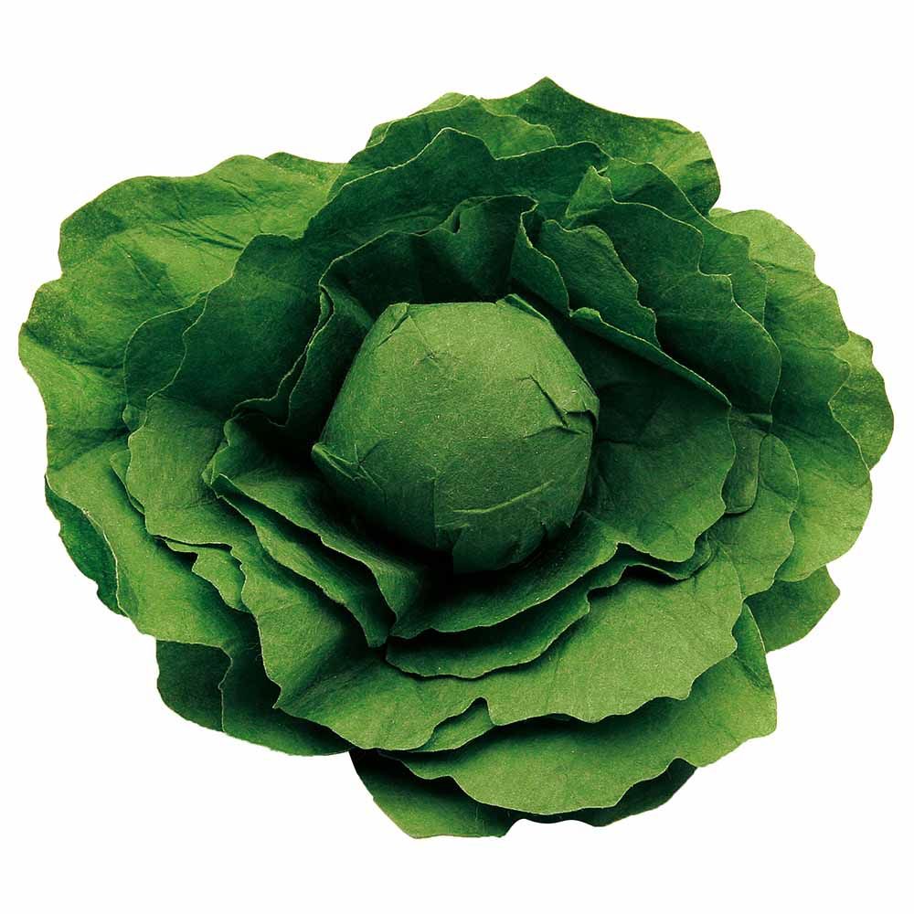 Erzi - Wooden Lettuce Toys