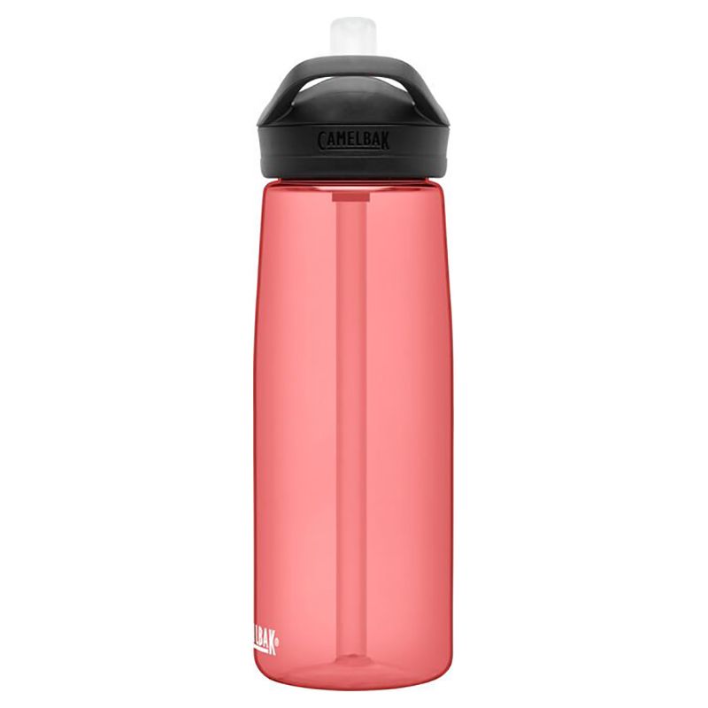 CamelBak - Eddy+ 25oz - Rose